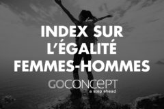 Index femmes hommes